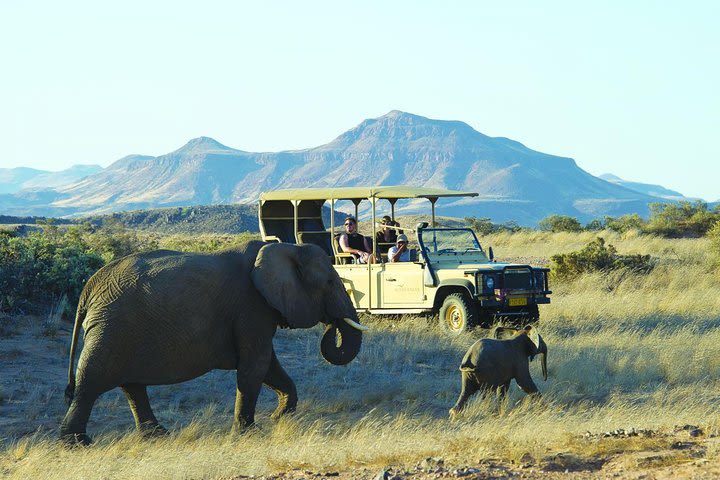 3 Day Etosha Guided Tour  image