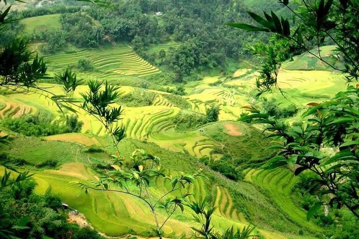 Sapa: Full-Day Private Muong Hoa Valley Tour image