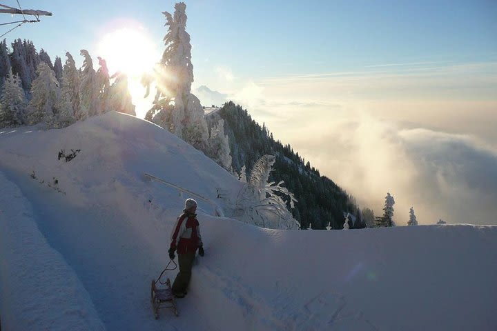 Mount Rigi Winter Day Trip from Zurich image