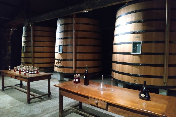 Cruise Excursion from La Rochelle to Cognac FD (private) image