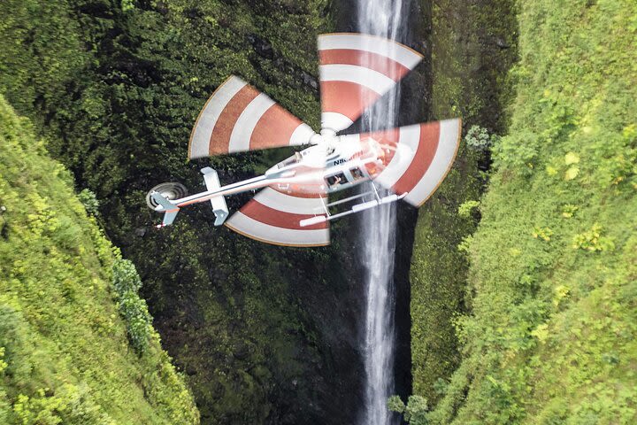 Private Moloka'i Sea Cliffs Helicopter Excursion from Kapolei image