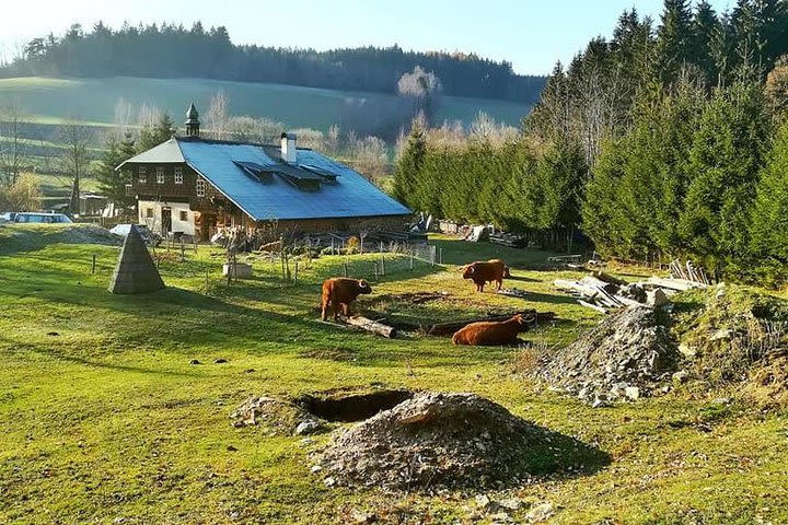 Hiking trip in the Bohemian forest image