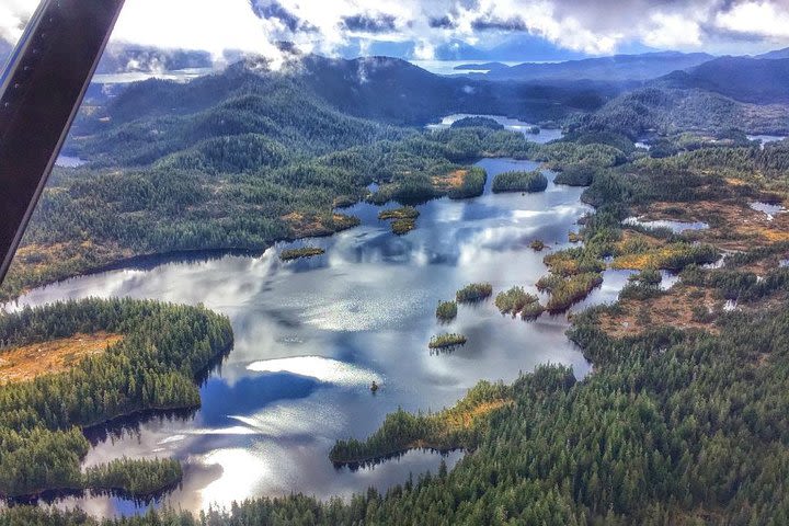 Misty Fjords Exclusive Seaplane Tour from Ketchikan image