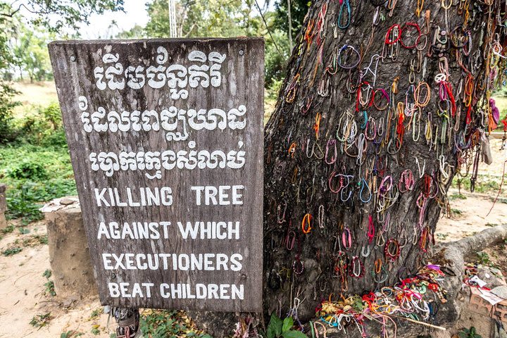 Private Half Day To Killing Field & S21 Genocidal Museum in Phnom Penh image