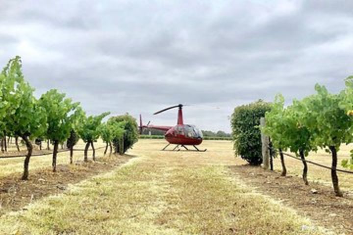 Private Helicopter Flight to Hunter Valley with a la carte Lunch - For 2 image