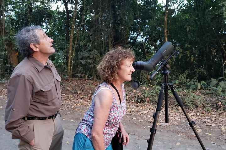 Volcano Hike-Mistico Hanging Bridges and Sloth Watching Experience in La Fortuna image