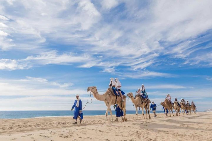 Tangier Day Trip from Rabat with Camel Ride image