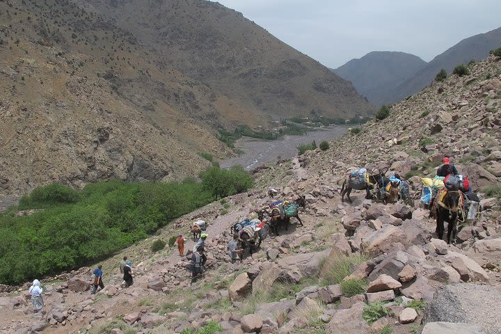 Toubkal Trek 4 Days 3 Nights with best Atlas Guides image