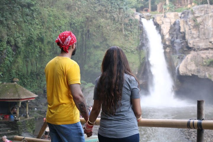 Ubud in One Day Sightseeing Tour including Lunch image