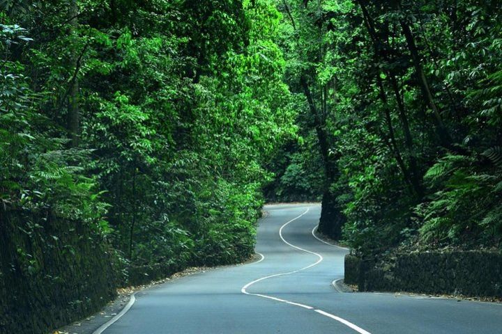 Eco-Tour (Konoko Falls- Fern Gully- Yaaman Adventure Park) from Ocho Rios image