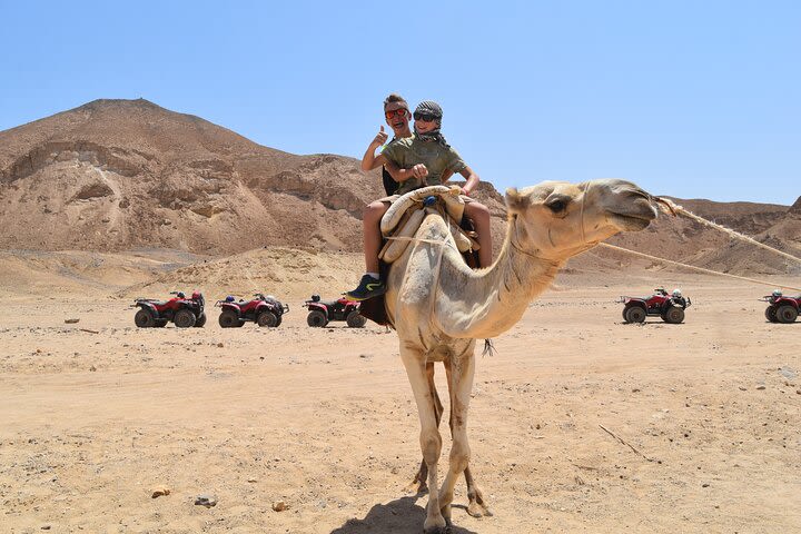 2 hours Horse Or Camel Riding One hour Sea & One hour Desert - Hurghada image