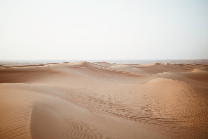 Oman Desert Experience - Wahiba Sands image