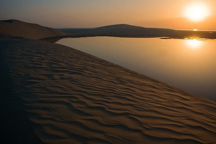 Sunrise Desert Safari with Camel Ride | Dune Bashing | Sand boarding  image