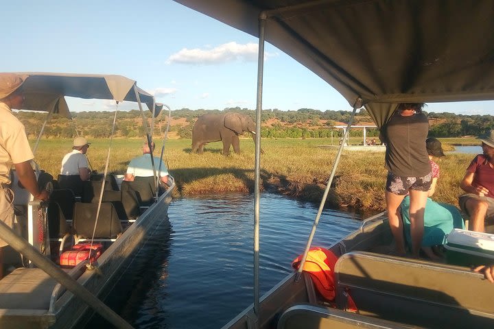 Chobe Day Trip from Victoria Falls image