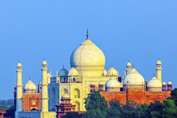 Luxury tour of Taj Mahal from Delhi image