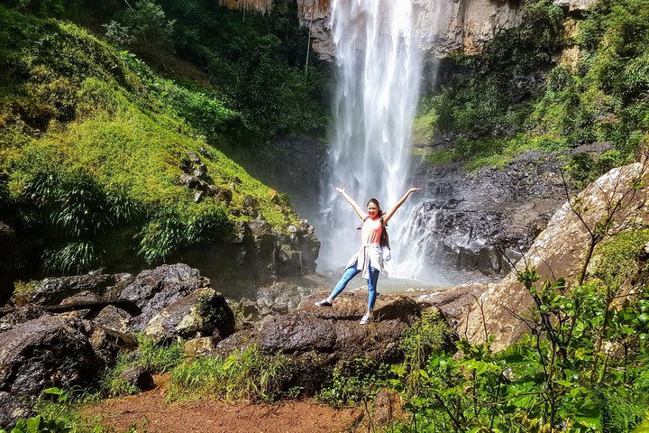 Springbrook Full Day Tour image