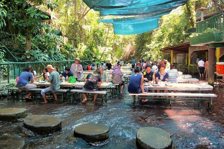 Villa Escudero Tour with Lunch From Manila (Shared Tour) image