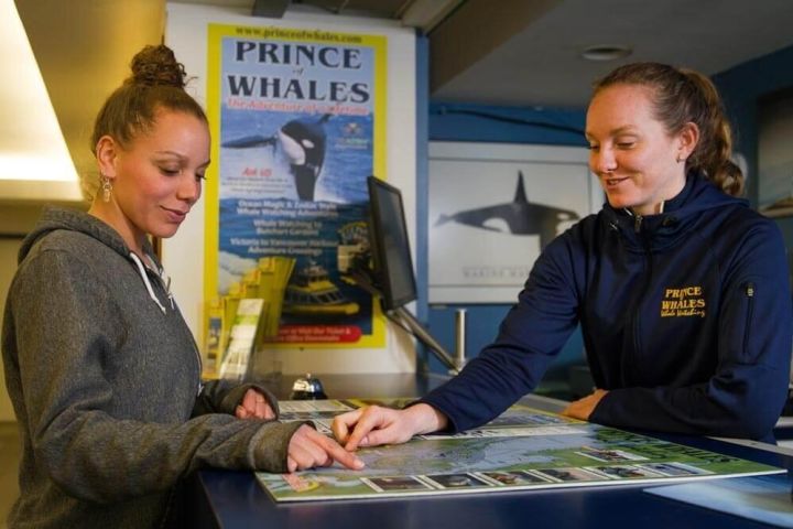 Victoria Whale Watching Adventure image