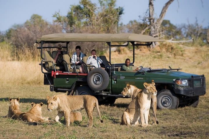 Chobe Sunrise upto Sunset Day trip from Victoria Falls (5AM - 7PM) image