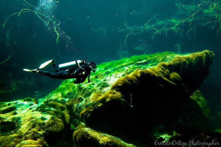 Cenote Diving for First-Time Divers and for Refresher Dives in Tulum image