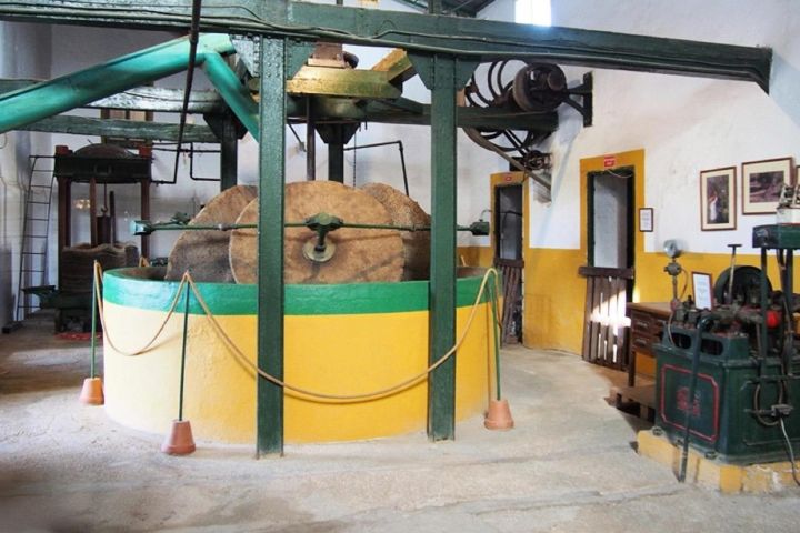 Costa del Sol Olive Oil Tour image