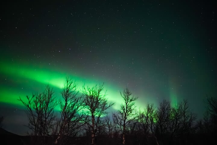 Northern Lights Aurora Snowmobile Trip in Abisko image