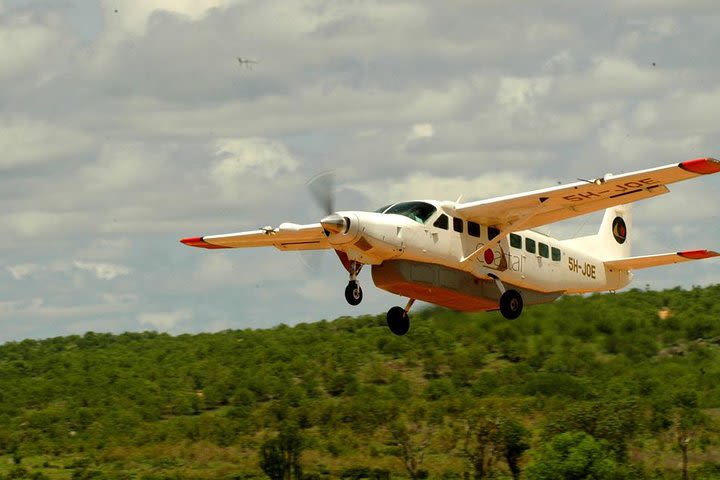 9 days safari in Southern Tanzania ( Selous, Mikumi, Udzungwa and Ruaha ) image