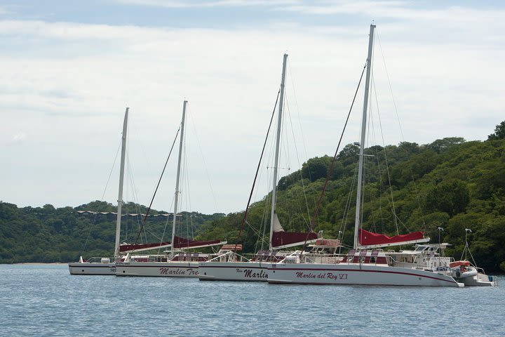 Catamaran Snorkeling & Sunset Sailing Tour image