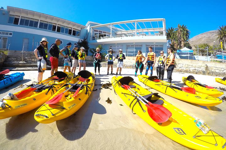 Penguin Paddle image