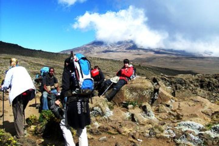  Lemosho Route 8 Days 7 Nights/Kilimanjaro Climb image