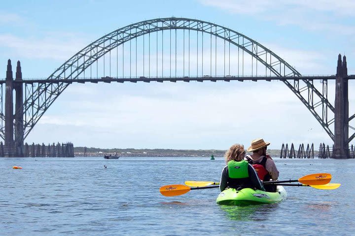 Guided Kayak Tour of Yaquina Bay - 9:00am image