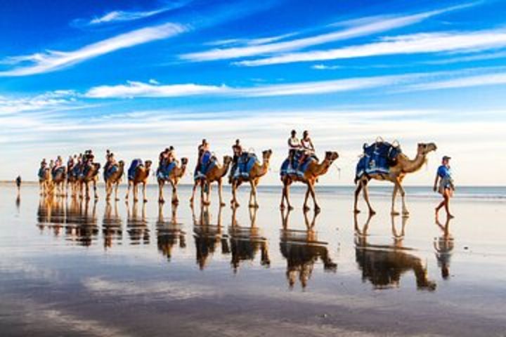 Broome Pre-sunset Camel Tour 30 minutes image