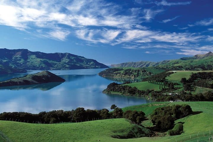 Akaroa Shore Excursion: Banks Peninsula and Christchurch City Sights Tour image