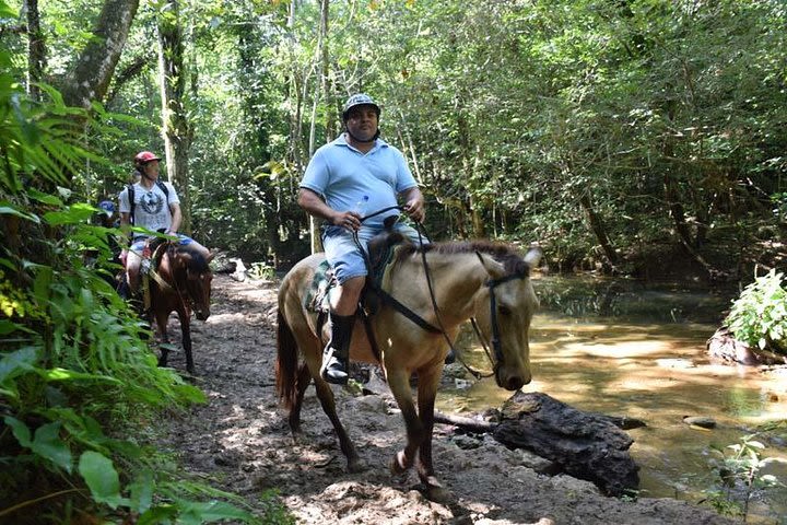 Samana With Cayo Levantado, Full Day Tour! All inclusive image