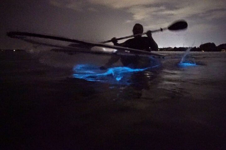 Clear Kayak Bioluminescence Tour image