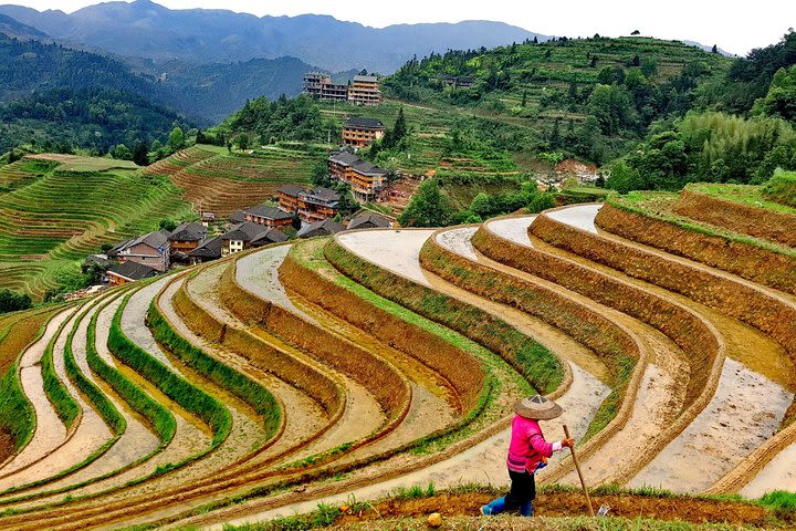 Longji Rice Terraces Day Tour from Guilin hotel image