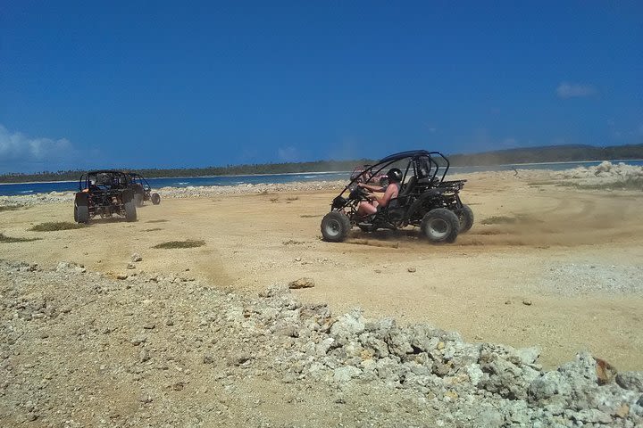 Nawie Beach Blue Water Turtle Tour image