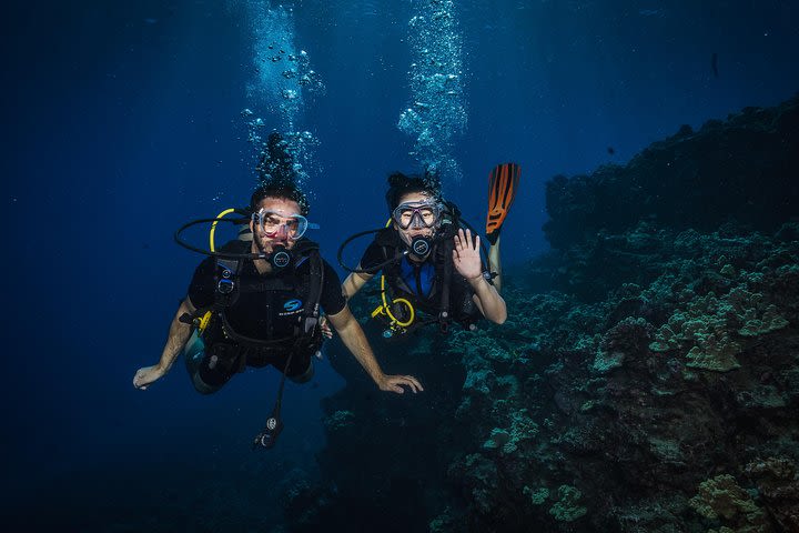 2 Tank Lanai Cathedral Dive image