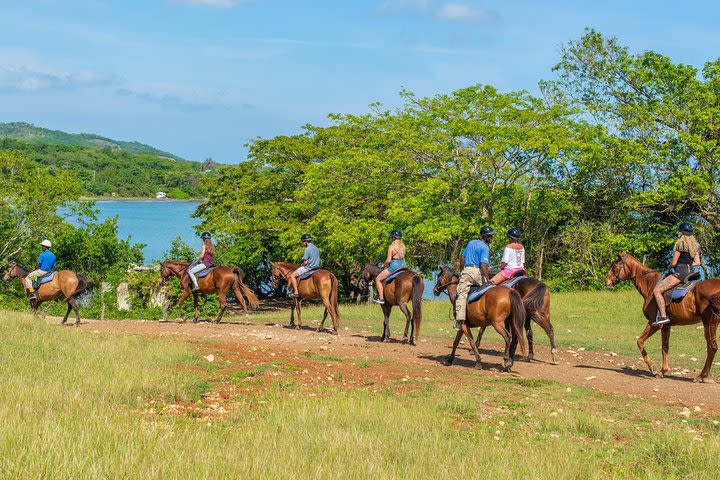 Horseback Ride and Swim from Ocho Rios image