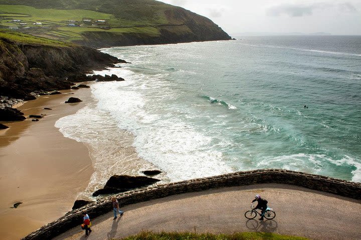 Dingle Peninsula Day Tour from Limerick: Including The Wild Altanic Way image