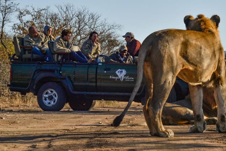 Morning BIG 3 Game Drive in Hoedspruit image