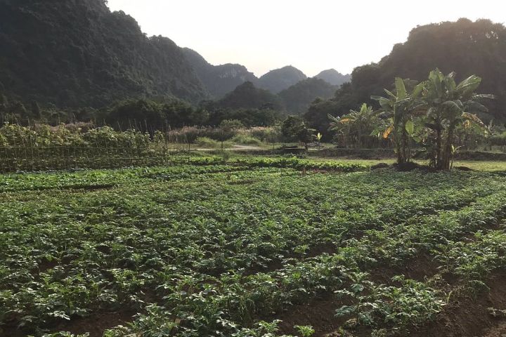 Ha Long Bay 3 Days Unicharm Cruise image