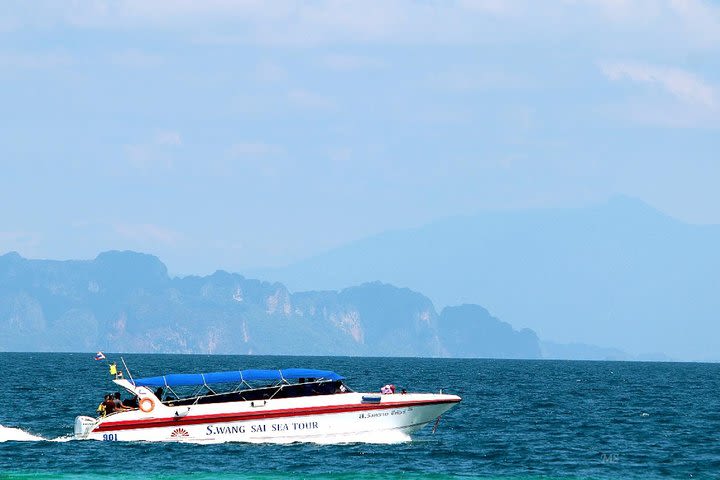 Full-Day Snorkel Tour to Koh Rok and Koh Ha from Krabi image