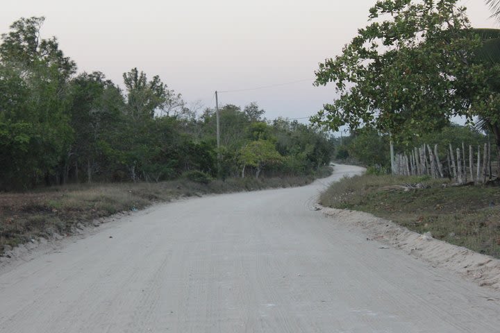 Village Horseback Riding by Night  image