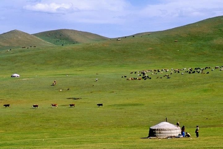 7 Days Central Mongolian Horse Trekking image