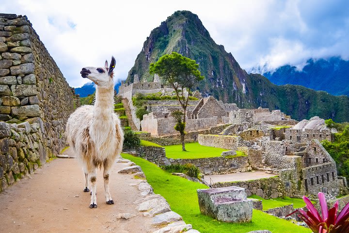 4 Days : Cusco || Sacred Valley || MachuPicchu || All included || image