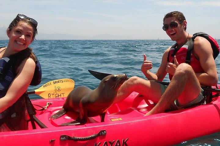 Santa Barbara Wildlife and History Kayaking Tour image