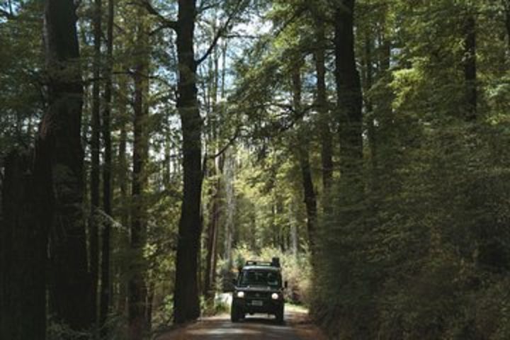 Lord of Rings Full-Day Tour around Queenstown Lakes by 4WD image