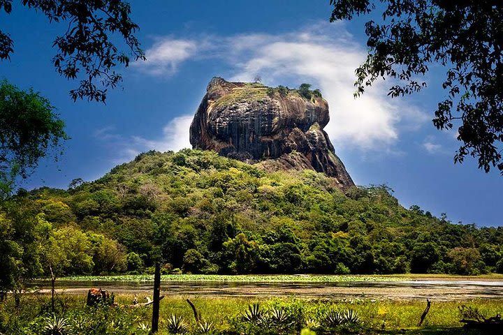 Day tour to Sigiriya & Dambulla from Kandy image