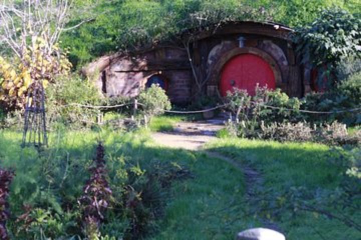 Hobbiton and Spellbound Tour (Glowworm Cave at Waitomo)  image